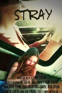 Stray (2008)
